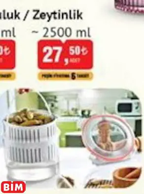 TURŞULUK / ZEYTİNLİK TURŞULUK / ZEYTİNLİK